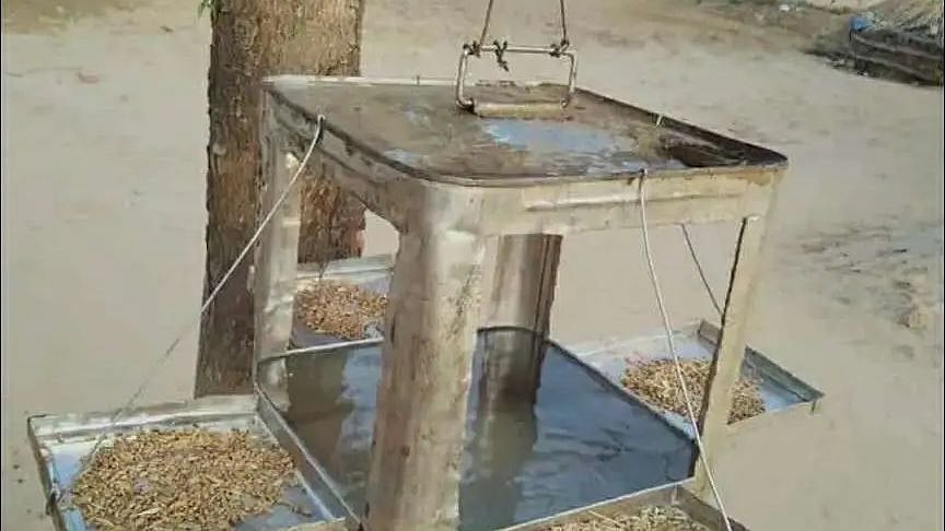 “எண்ணெய் டின்னில் பறவைக்கு உணவும் நீரும் வைத்து அசத்தல்” -  நெல்லை சப்-கலெக்டருக்கு குவியும் பாராட்டு!