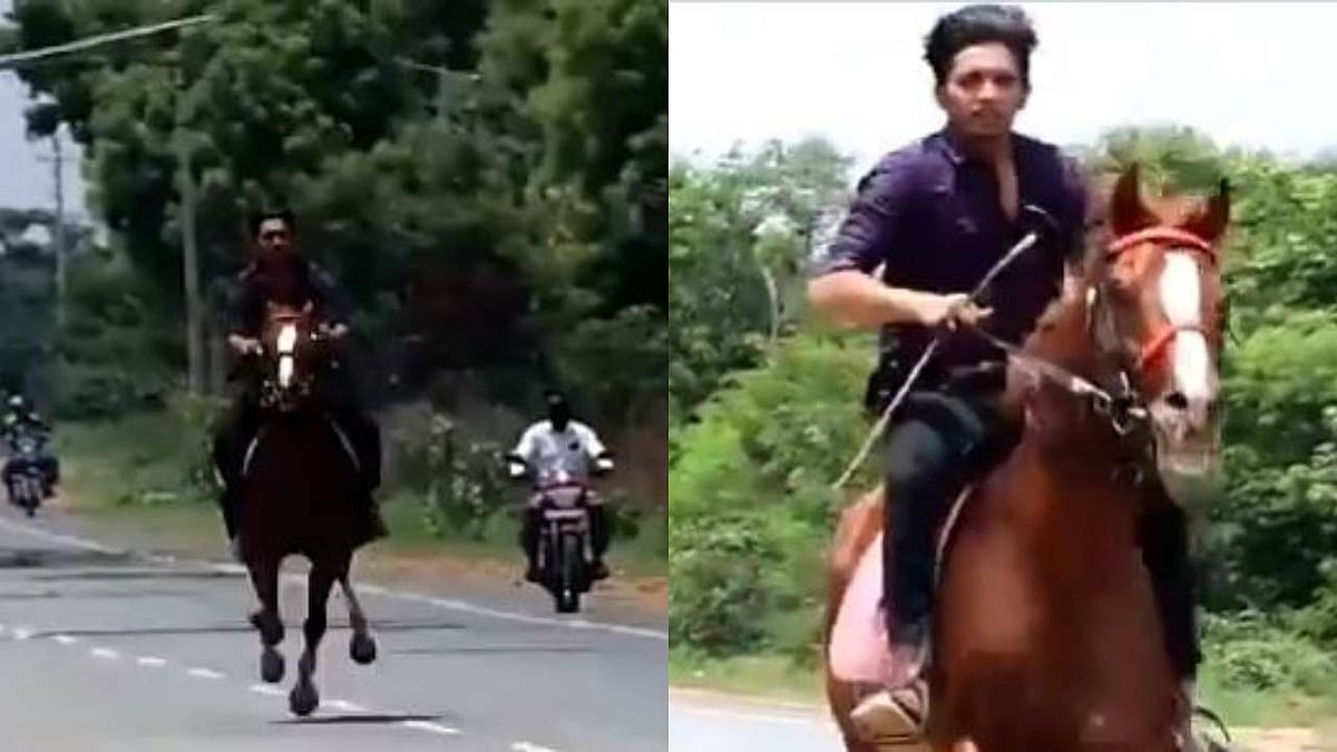 “ஏழைகளுக்கு ஒரு நீதி.. ஆள்வோருக்கு ஒரு நீதியா?” - ஊரடங்கு நேரத்தில் குதிரையில் பவனி வந்த பா.ஜ.க MLA மகன்!