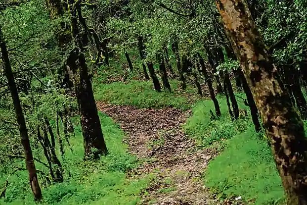 “சுற்றுச்சூழல் மதிப்பீட்டு அறிவிக்கை தமிழகத்தை அழிவுப் பள்ளத்தாக்கில் தள்ளிவிடும்” : வைகோ கண்டனம்!