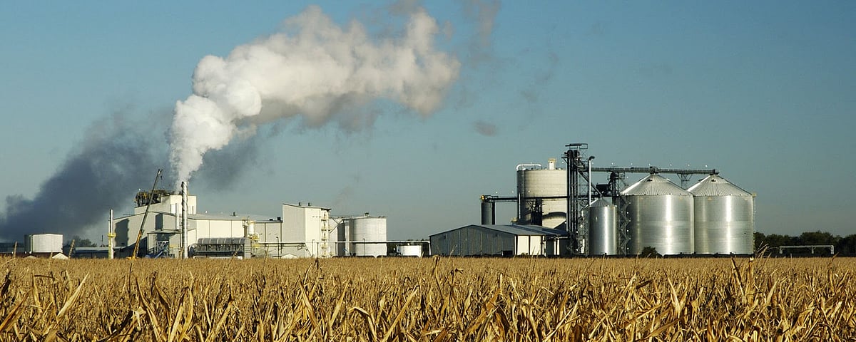 “விசாகப்பட்டினம் விஷவாயு விபத்து - பாடம் கற்குமா தமிழகம்?” : பூவுலகின் நண்பர்கள் சொல்லும் 14 அம்சங்கள்!