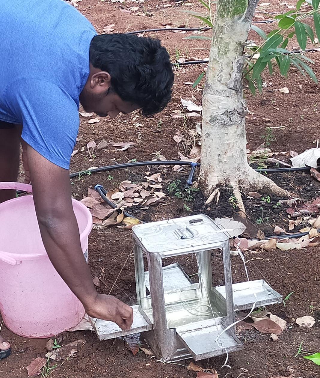 “எண்ணெய் டின்னில் பறவைக்கு உணவும் நீரும் வைத்து அசத்தல்” -  நெல்லை சப்-கலெக்டருக்கு குவியும் பாராட்டு!