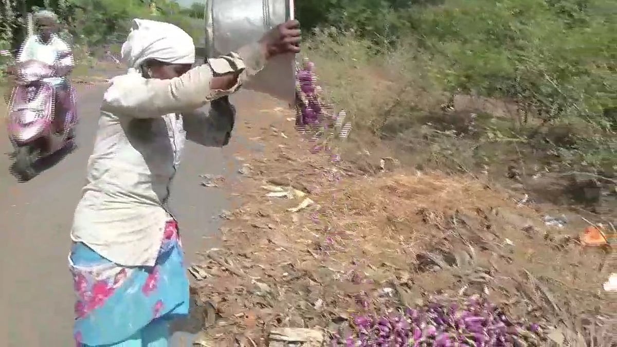 “போலிஸ் கெடுபிடி - அறுவடை செய்த காய்கறியை குப்பையில் கொட்டிய விவசாயிகள்” : புதுச்சேரியில் நிகழ்ந்த சோகம்!