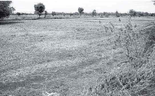 “விளம்பர வெறிபிடித்து விவசாயிகளை வஞ்சிப்பதா? தூர்வாரும் பணிகளை விரைவுபடுத்துக”- மு.க.ஸ்டாலின் வேண்டுகோள்!