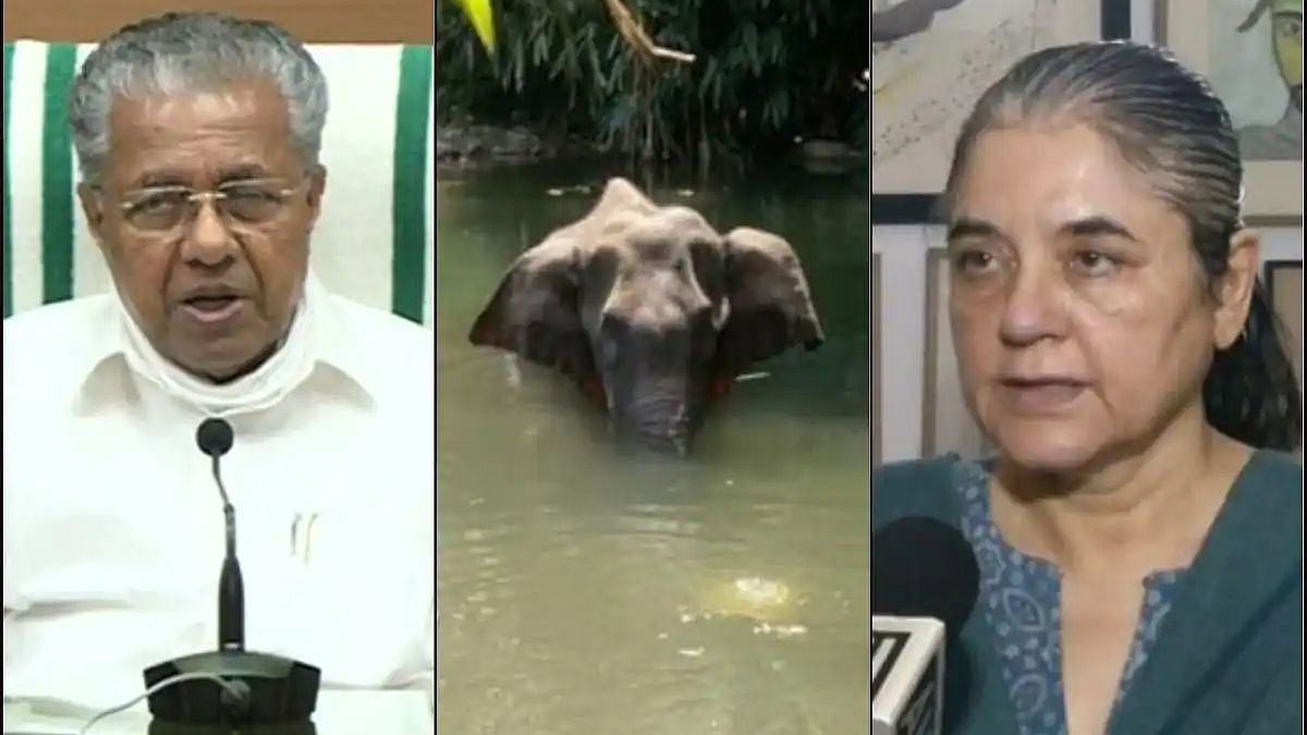 “யானை கொலை வழக்கில் ஒருவர் கைது” : பினராயி அறிவிப்பு முதல்  பசுமைத் தீர்ப்பாய உத்தரவு வரை நடந்தது என்ன?