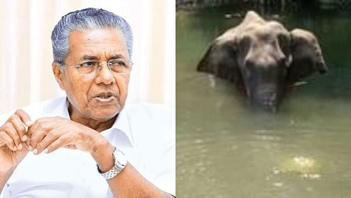 “யானை கொலை வழக்கில் ஒருவர் கைது” : பினராயி அறிவிப்பு முதல் பசுமைத் தீர்ப்பாய உத்தரவு வரை நடந்தது என்ன?