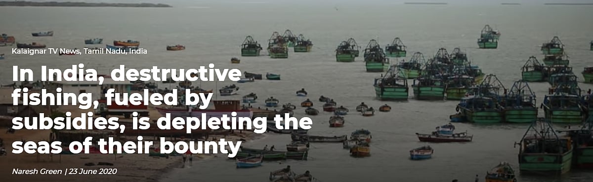 EJN Tamil Documentary