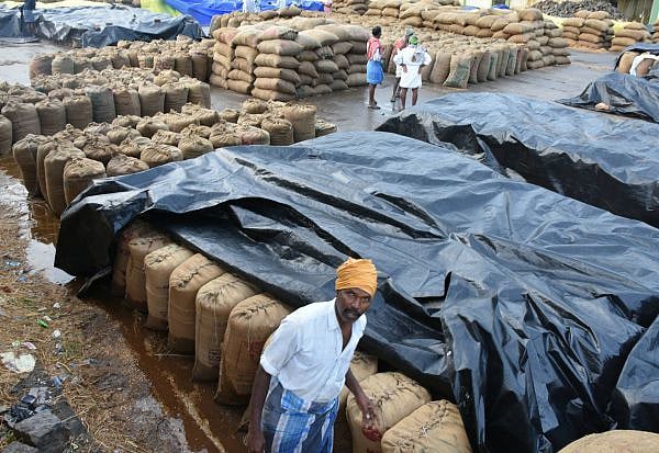 “பருவமழையால் பாழ்படும் நெல்மூட்டைகளை கொள்முதல் செய்து விவசாயிகளை காப்பாற்ற வேண்டும்!” : மு.க.ஸ்டாலின்