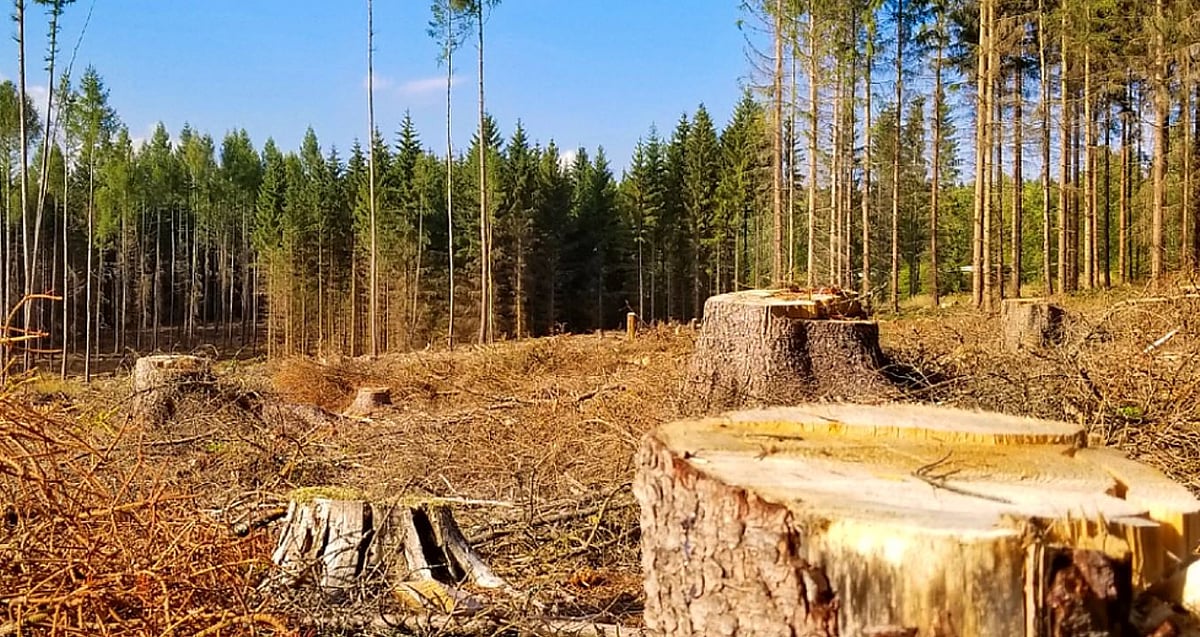 சூழலியல் பேராபத்தை தடுக்க  #ScrapEIA2020 என்ற ஹேஷ்டாகில் எதிர்ப்பை தெரிவிக்க ஒன்றிணைந்த மக்கள்!