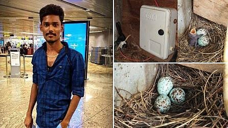 "சிட்டுக்குருவிகளுக்காக இருட்டில் வாழும் கிராமம்” - பொத்தகுடி மக்களை நெகிழ்ந்து பாராட்டிய மு.க.ஸ்டாலின்!