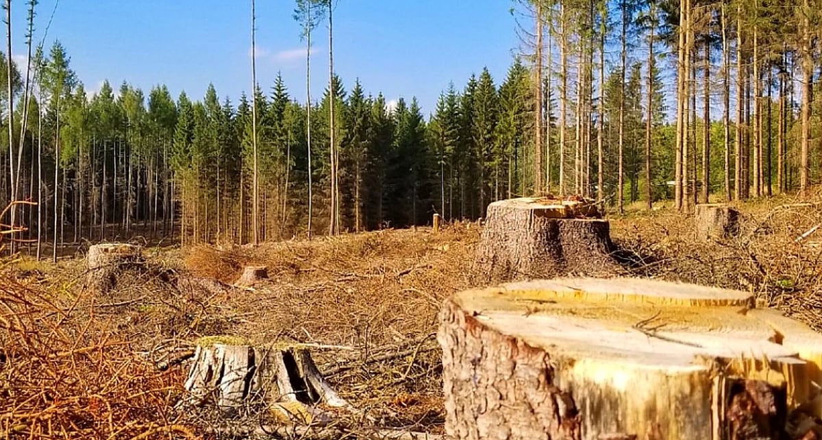 மொத்த நாட்டையே அழிவுப்பாதைக்கு அழைத்துச் செல்லும் சதித்திட்டம்-EIA2020: வலுக்கும் எதிர்ப்பு #scrapEIA2020