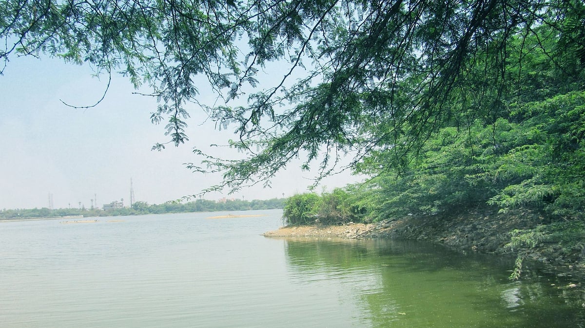 காதல் கணவருடன் தகராறு : ஏரியில் குதித்து இளம்பெண் தற்கொலை - ஆவடி அருகே சோகம்!