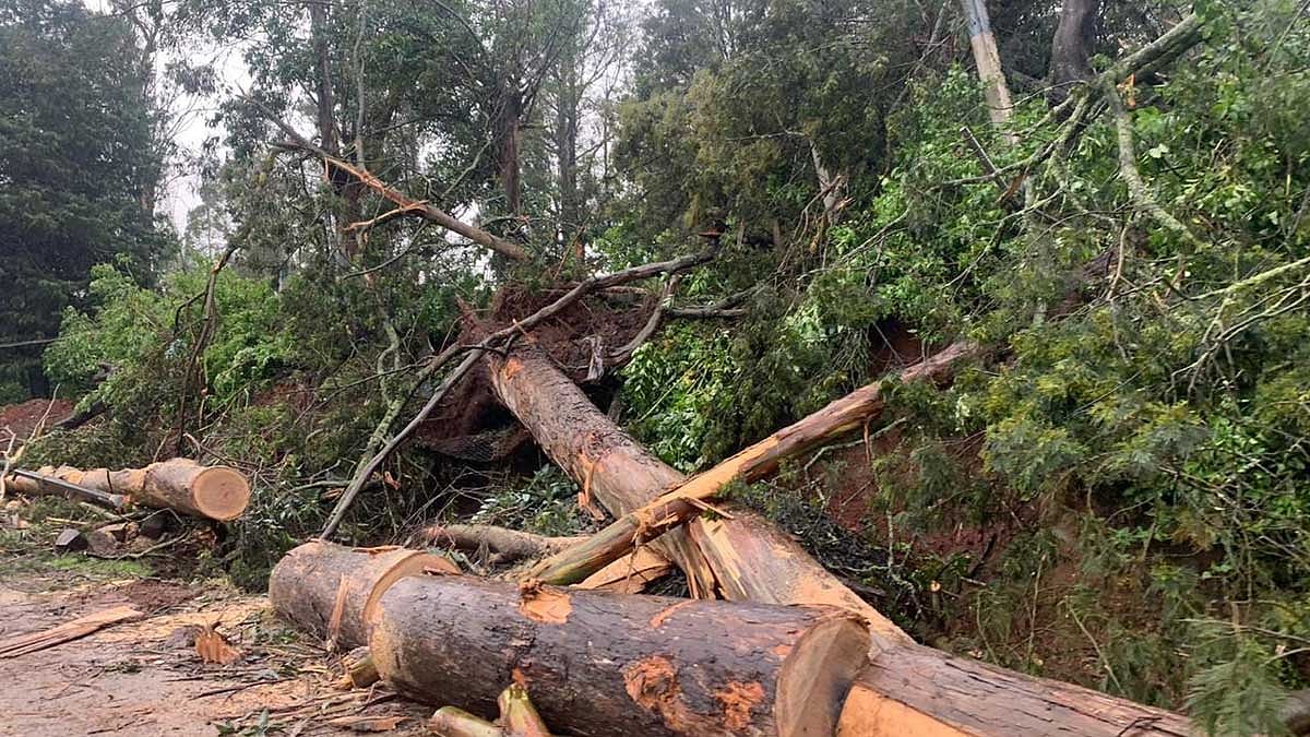 அதீத கனமழைக்கு வாய்ப்பு... கோவை, நீலகிரி, தேனி மாவட்டங்களுக்கு ரெட் அலெர்ட் - சென்னை வானிலை அறிவிப்பு!