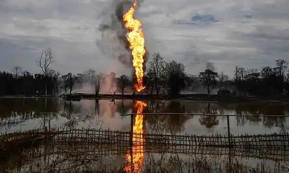 “இந்திதான் அலுவல் மொழியா? வடகிழக்கு, தென்மாநில மக்களுக்கு எப்படி புரியும்?” - சுப்ரீம் கோர்ட் விளாசல்!