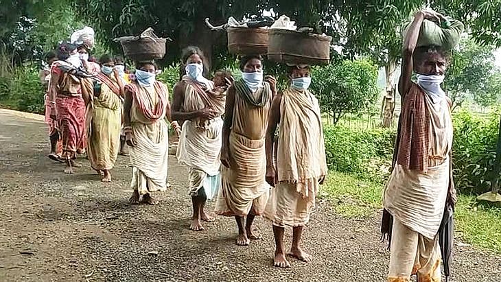 ஊரடங்கால் 4:1 பங்கினரின் வாழ்வாதாரம் பறிப்பு - 53% பேருக்கு கடன் அதிகரிப்பு- Actionaid ஆய்வில் அதிர்ச்சி!