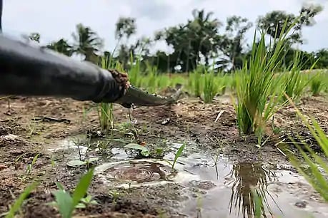 குழாய் மூலம் எடப்பாடிக்கு காவிரி நீர்: மேட்டூர் விவசாயிகளை பாதிக்குமா? - தமிழக அரசின் பதில் இதுதான்!