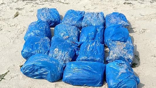 உணவு டெலிவரி செய்வது போல கஞ்சா விற்பனை செய்த பட்டாதாரி பெண்; கையும் களவுமாக சென்னையில் கைது!