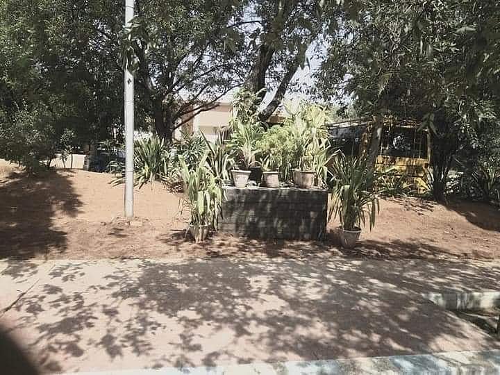 காமராசர் பல்கலைக்கழகத்தில் திடீரென முளைத்த விநாயகர் சிலை; கொந்தளித்த மாணவர்கள்: சிலையை அகற்றிய நிர்வாகம்!