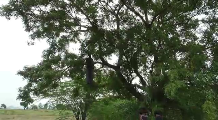 “உணவின்றி வறுமையில் வாடிய நெசவு தொழிலாளி தூக்கிட்டு தற்கொலை” : கொரோனா ஊரடங்கால் தொடரும் கொடூரம்!