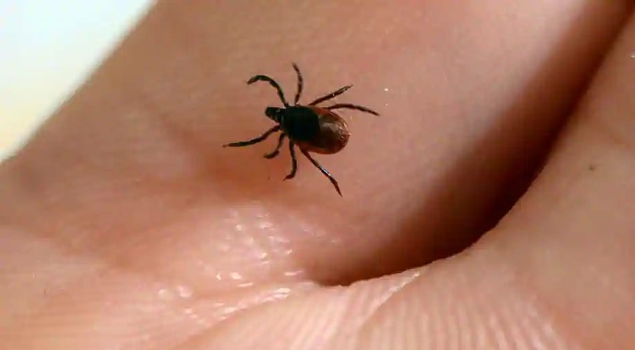 பூச்சிகள் மூலம் தொற்றும் வைரஸால் 7 பேர் பலி - மீண்டும் உலக நாடுகளுக்கு ‘கிலி’ ஏற்படுத்திய சீனா!