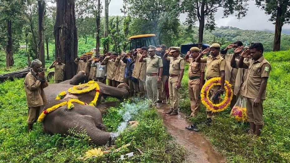 இறந்த கல்பனா யானைக்கு அஞ்சலி செலுத்திய வனத்துறையினர்