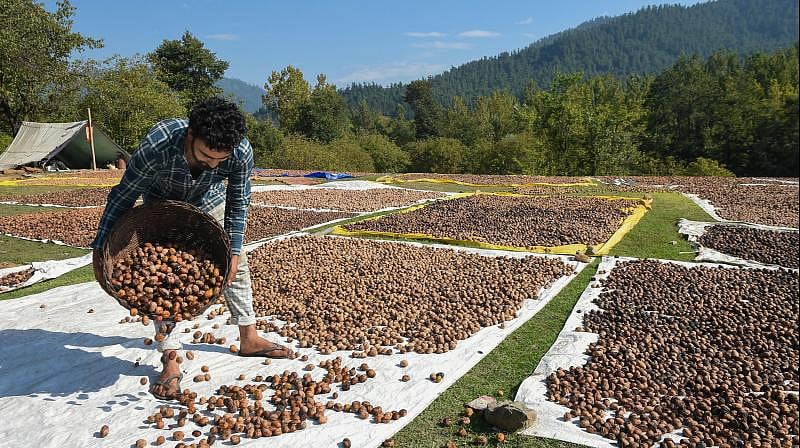 “பா.ஜ.க அரசின் வேளாண் மசோதாக்கள் விவசாயிகளை ஒழித்துக்கட்டும் முயற்சி” - மு.க.ஸ்டாலின் மடல்!