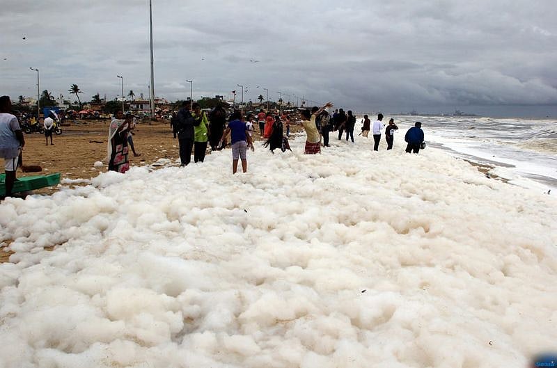 சென்னை மெரினாவில் கழிவுகள் கலக்காமல் இருக்க நடவடிக்கை எடுத்திடுக - தேசிய பசுமை தீர்ப்பாயம் உத்தரவு!