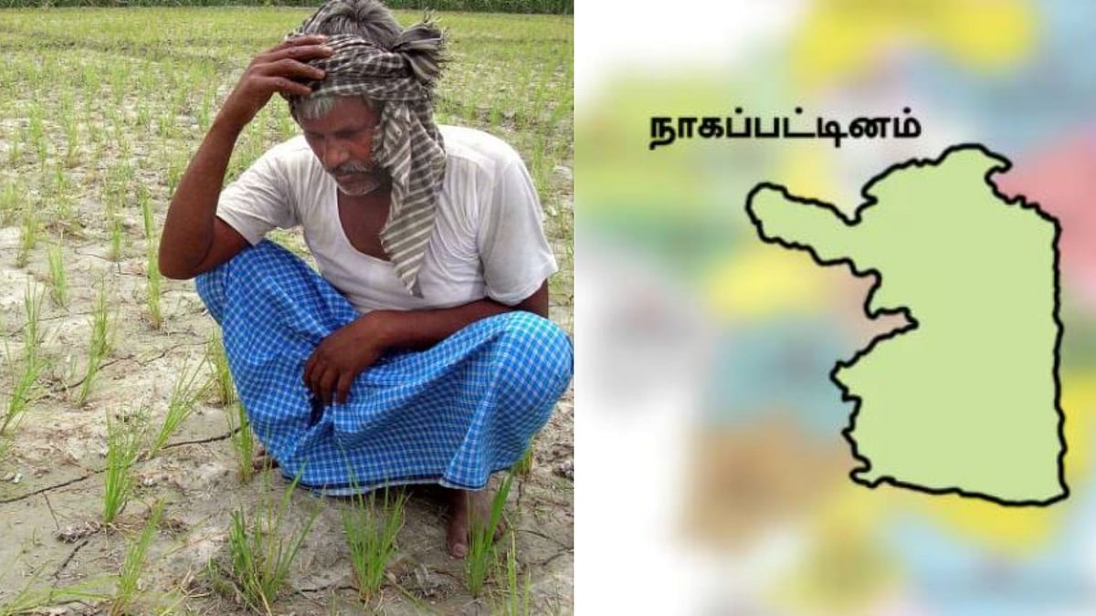 நாகையில் பயிர்க் காப்பீட்டுத் திட்டத்தில் ஒரே ஆண்டில் ரூ.345 கோடி மோசடி? - விவசாயிகள் புகார்!