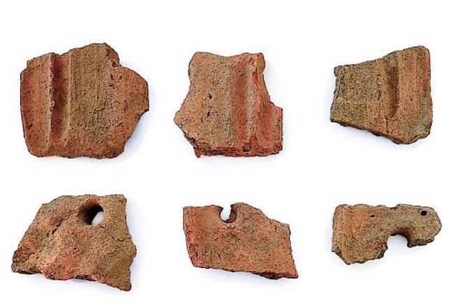 “ஆதிச்சநல்லூர் அகழ்வாராய்ச்சியை விரிவாக நடத்த மத்திய மாநில அரசுகள் ஒத்துழைக்க வேண்டும்” : கனிமொழி எம்.பி