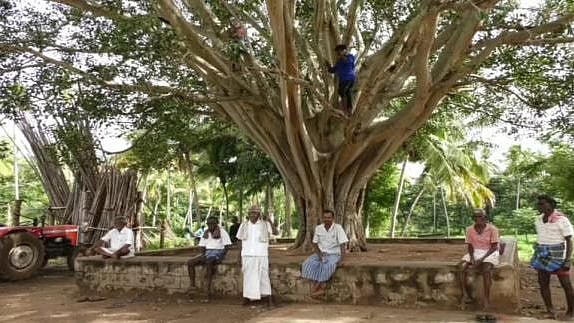 ஆபத்தை உணராமல் குடிநீர்தொட்டி, மரங்களில் ஏறி ஆன்லைன் வகுப்பில் பங்கேற்கும் மாணவர்கள் : சிக்னலால் சிக்கல்!