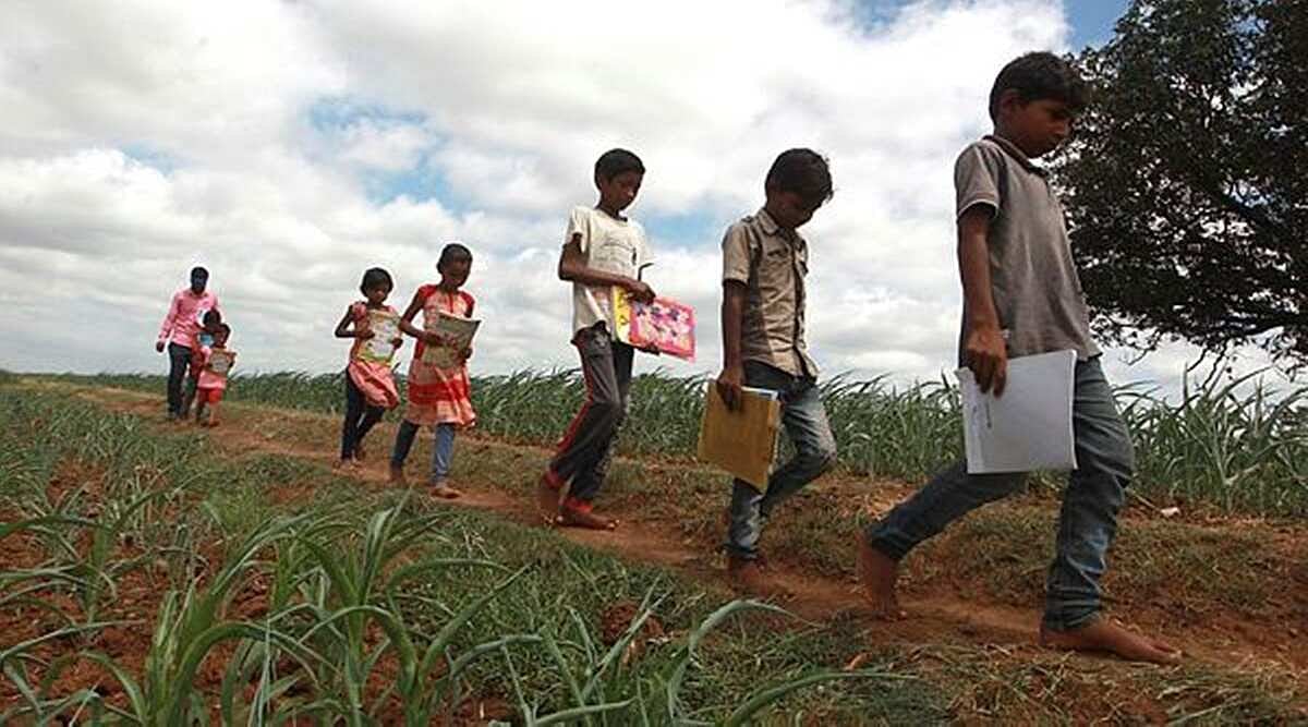சிக்னல் கிடைக்காததால் தினமும் 3 கி.மீ மலையேறி கற்கும் மாணவர்கள் : ஆன்லைன் கல்வியால் அரங்கேறும் அவலம்!