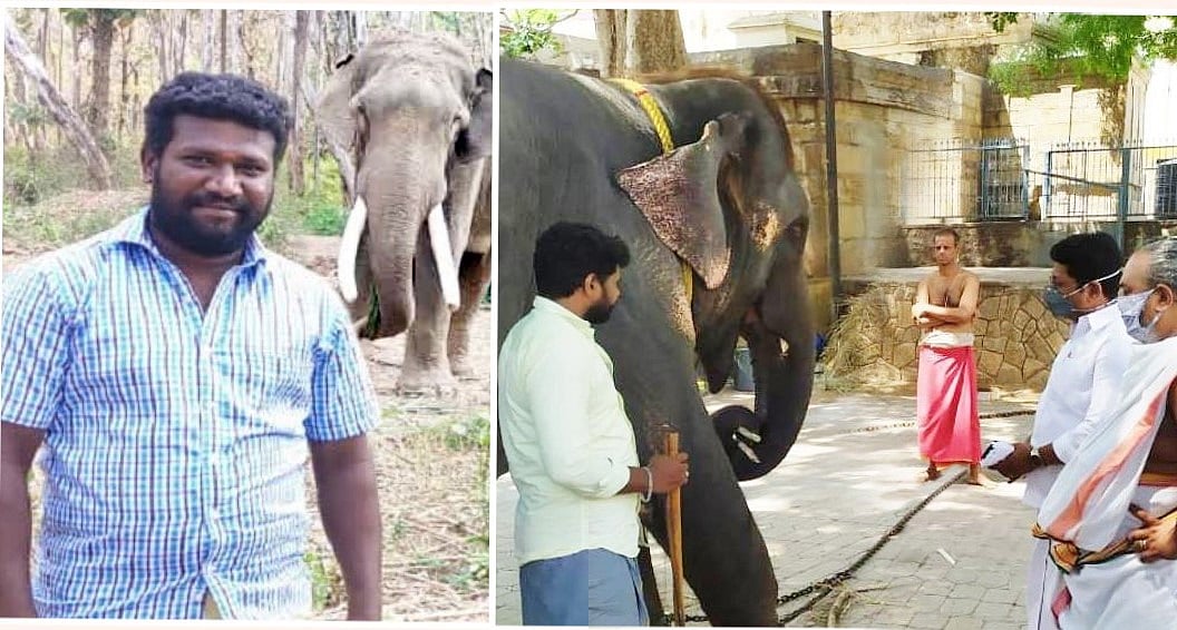 யானை தாக்கி உயிரிழந்த பாகனின் குடும்பத்தாருக்கு ரூ.1 லட்சம் நிதியுதவி வழங்கிய தி.மு.க எம்.எல்.ஏ!