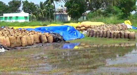 “ஜெட் வேகத்தில் ஆய்வு செய்தால் பாதிப்பு எப்படி தெரியவரும்?” - மத்திய குழுவினருக்கு விவசாயிகள் கண்டனம்!