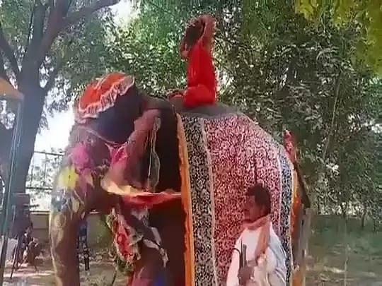 'யானை மீது யோகா செய்த பாபா ராம்தேவுக்கு நேர்ந்த கதி' -இணையத்தில் பரவிவரும் பரபரப்பு வீடியோ!
