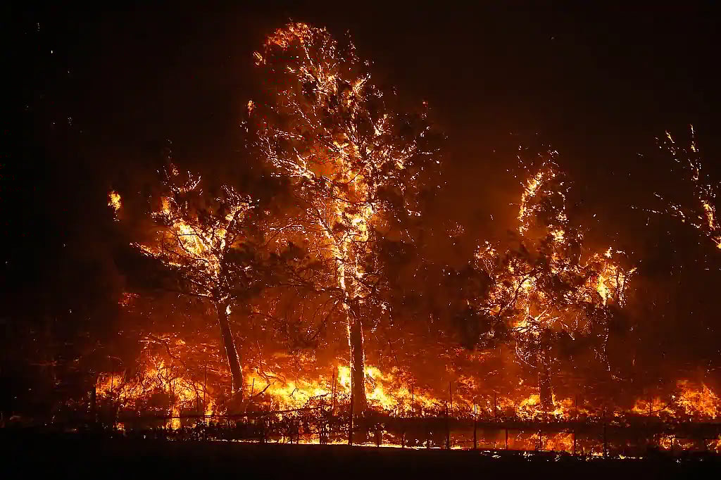 உலகம் இதுவரை காணாத பேரிடர் : கலிஃபோர்னியாவில் 1 மாதமாக தொடர்ந்து பரவிவரும் காட்டுத்தீ! #ViralPhotos