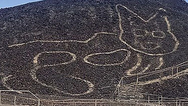 2,000 ஆண்டுகள் பழமையான பூனை வடிவத்திலான மலைப்பாதை... பெரு நாட்டில் தொல்பொருள் ஆய்வாளர்கள் கண்டுபிடிப்பு!