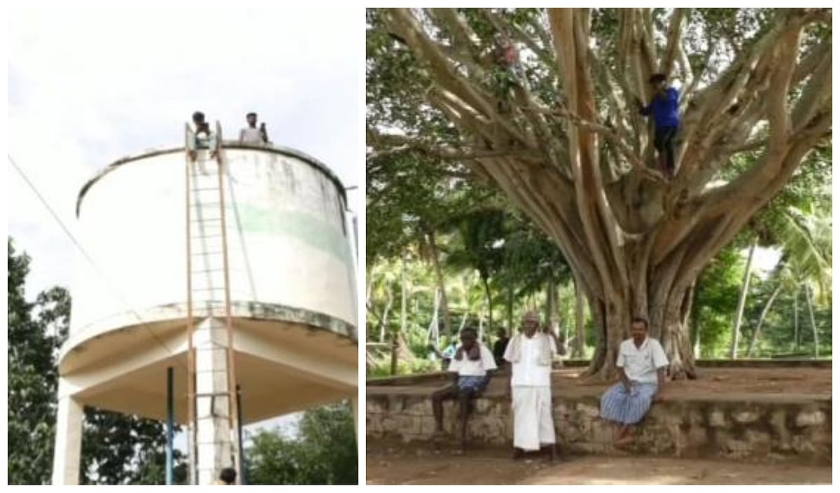 ஆபத்தை உணராமல் குடிநீர்தொட்டி, மரங்களில் ஏறி ஆன்லைன் வகுப்பில் பங்கேற்கும் மாணவர்கள் : சிக்னலால் சிக்கல்!