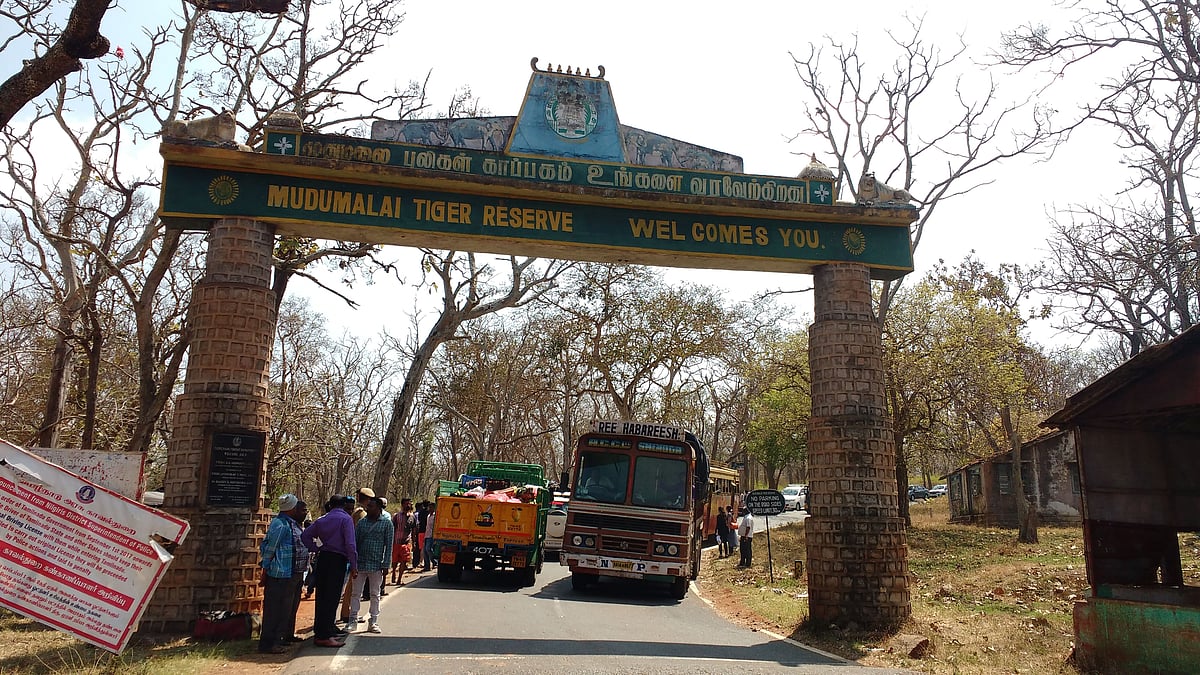 தமிழகத்தில் குவியும் மருத்துவ கழிவு : மக்கள் நலன் பேணாத அரசுக்கும், அதிகாரிகளுக்கும் ஐகோர்ட் கிளை குட்டு!