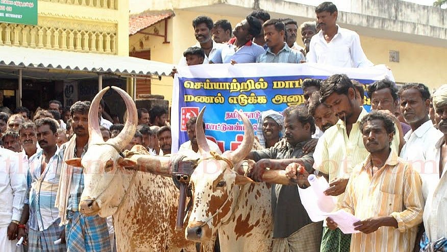 அமைச்சர் விஜயபாஸ்கரின் ‘எம்-சாண்ட் மணல்’ விற்பனைக்காக வஞ்சிக்கப்படும் மாட்டுவண்டி தொழிலாளர்கள் !