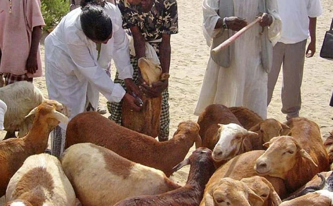 “ஆடு வழங்கும் திட்டத்தில் ஊழல் : அ.தி.மு.க ஆட்சிக்கு முடிவுகட்டும் நாள் தொலைவில் இல்லை” - கனிமொழி சாடல்!
