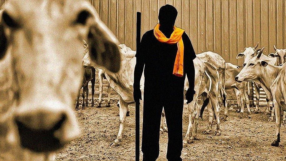 “பசுக்களை பாதுகாக்க ‘மாட்டு அமைச்சகம்’ அமைக்கும் ம.பி பா.ஜ.க அரசு” : கொந்தளிக்கும் விவசாயிகள்!