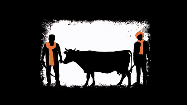 “பசுக்களை பாதுகாக்க ‘மாட்டு அமைச்சகம்’ அமைக்கும் ம.பி பா.ஜ.க அரசு” : கொந்தளிக்கும் விவசாயிகள்!