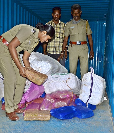 தமிழகத்தில் தொடரும் கஞ்சா கலாசாரம்: மதுரையில் 300 கிலோ கஞ்சா பறிமுதல்; ஒருவர் கைது.. 6 பேருக்கு வலைவீச்சு