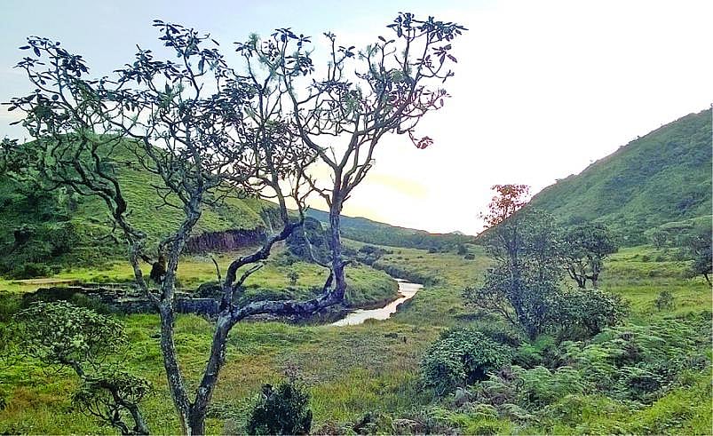 சர்வதேச மலைகள் தினம் : “நீலகிரியில் 18% மலைகளை அழித்த அ.தி.மு.க அரசு” - இயற்கை ஆர்வலர்கள் குற்றச்சாட்டு!