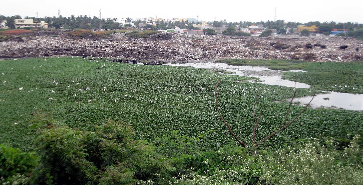 “குப்பைகளை கொட்டி ஏரியை சூறையாடும் அ.தி.மு.க அரசு” : பல்லாவரம் புத்தேரியை பாதுகாக்க திரண்ட பொதுமக்கள்!