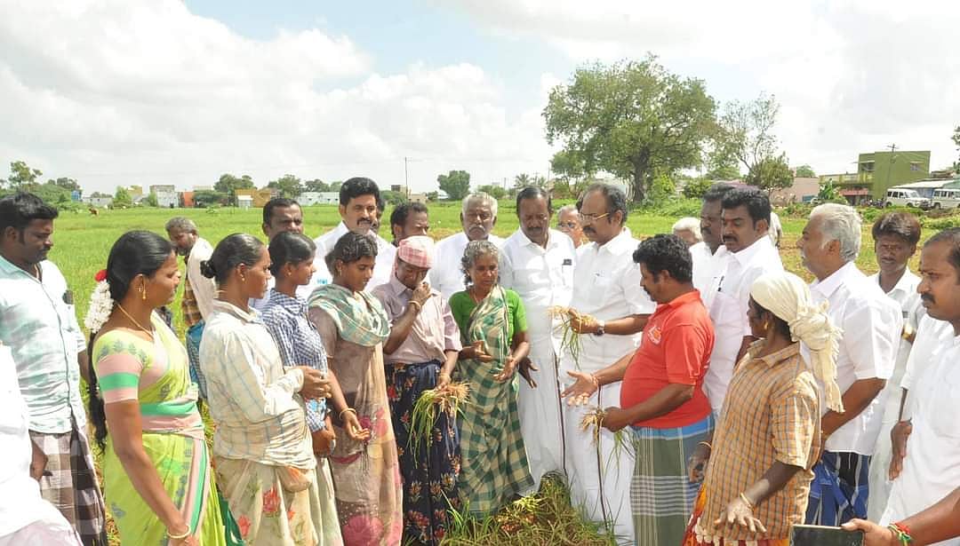 தொடர் மழையால் சேதமடைந்த வெங்காய பயிர்கள் - தங்கம் தென்னரசு எம்.எல்.ஏ பார்வையிட்டு அரசுக்கு கோரிக்கை!