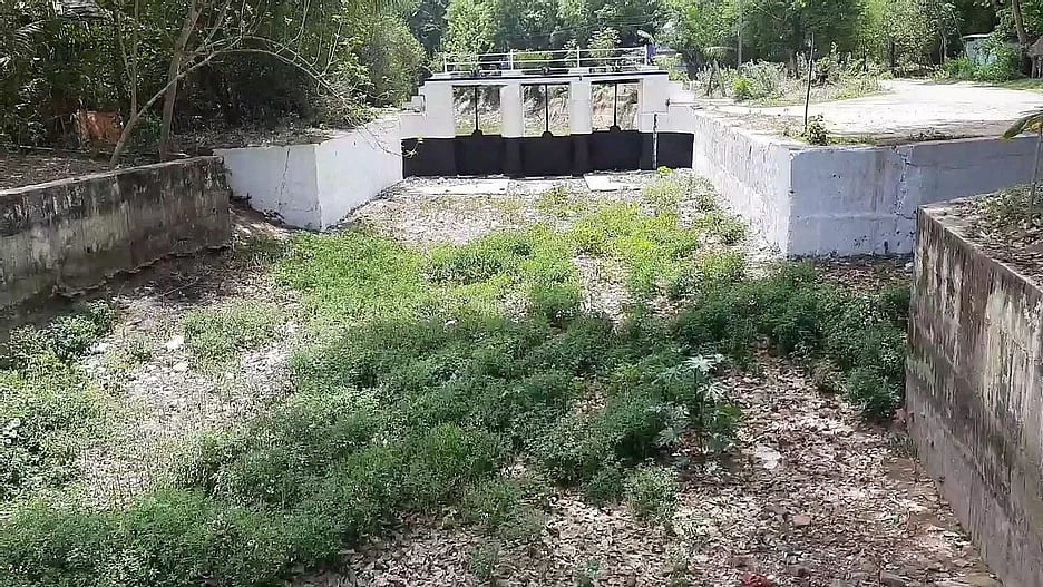 “காவிரி நீர் கடைமடைக்கு செல்லவிடாமல் தடுப்பதாக குற்றச்சாட்டு” : தமிழக அரசு பதிலளிக்க ஐகோர்ட் உத்தரவு!