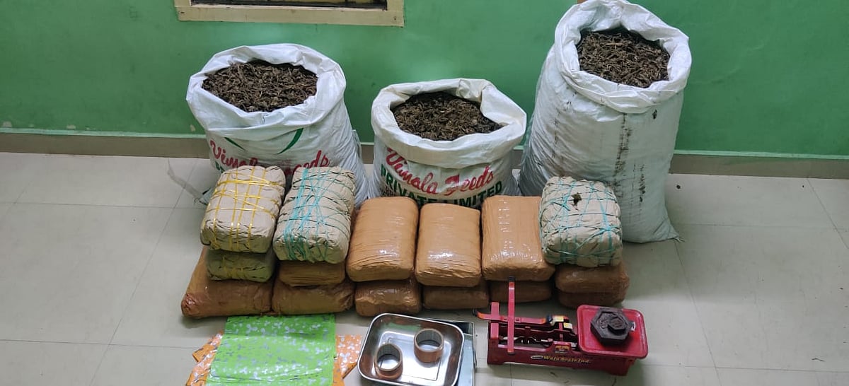 சென்னையில் பதுக்கப்பட்ட 100 கிலோ கஞ்சா பறிமுதல்.. ஆந்திர கஞ்சா வியாபாரிக்கு தனிப்படை போலிஸ் வலைவீச்சு!