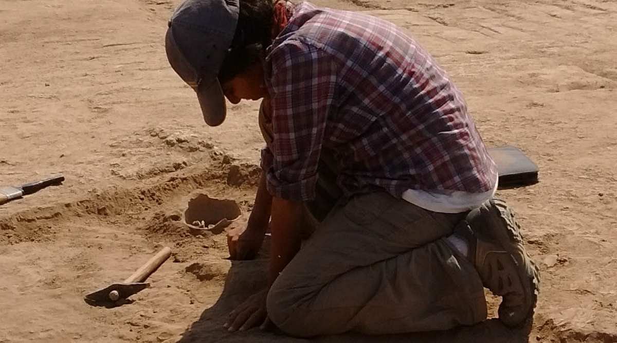 “சிந்து சமவெளி நாகரிகத்தில்  மக்களின் விருப்ப உணவாக மாட்டிறைச்சியே இருந்திருக்கும்” : ஆய்வில் தகவல்!