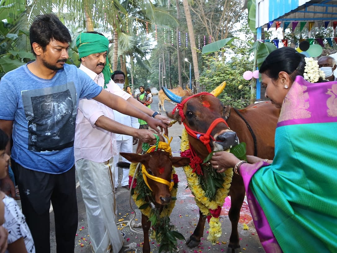 குடும்பத்துடன் மாட்டுப் பொங்கல் திருநாளைக் கொண்டாடினார் தி.மு.க தலைவர் மு.க.ஸ்டாலின் | Photos