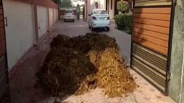 போராட்டத்தைக் கொச்சைப்படுத்தி பேசிய பா.ஜ.க தலைவர் வீட்டு முன்பு சாணத்தை கொட்டி விவசாயிகள் பதிலடி!